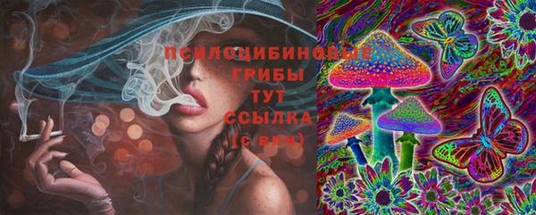 apvp Киренск