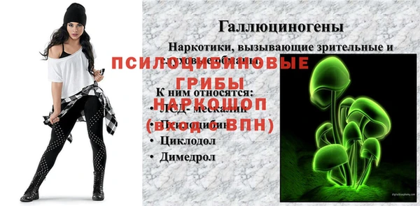 apvp Киренск