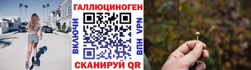 hydra ССЫЛКА Кохма Псилоцибиновые грибы MAGIC MUSHROOMS