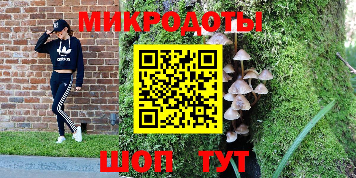 Галлюциногенные грибы Psilocybe Кохма