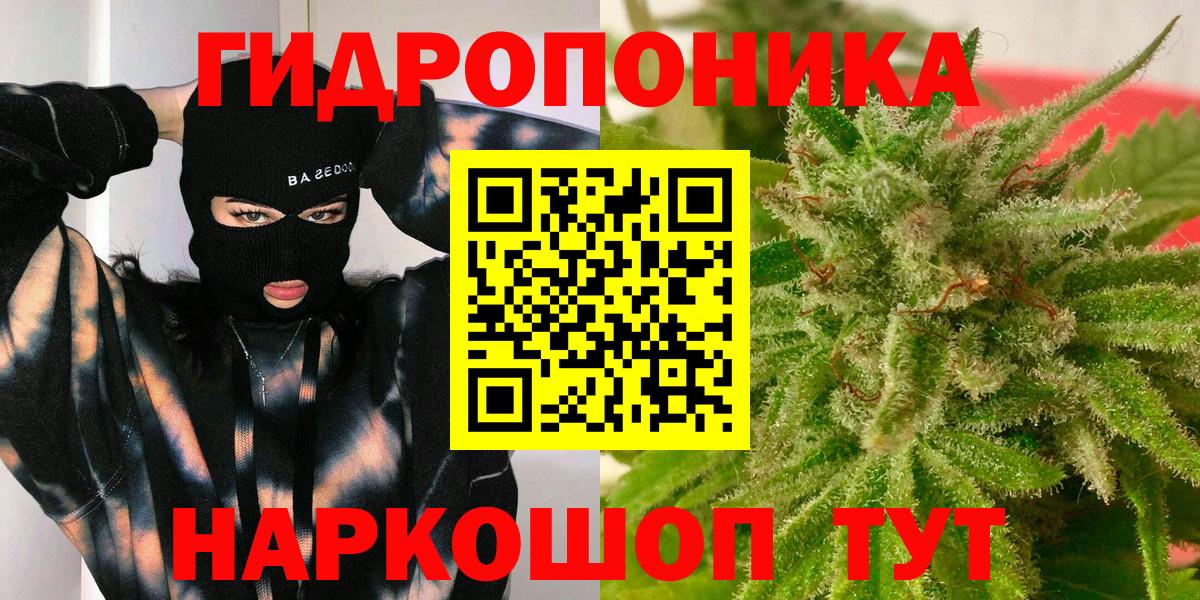 Бошки марихуана OG Kush Кохма